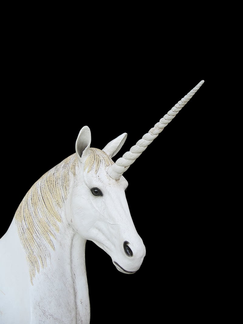 Unicorn Stables